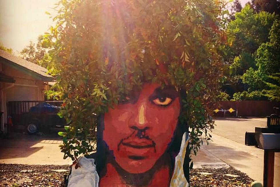 [PHOTO] CA Artist Turns Tree Into Prince Mural