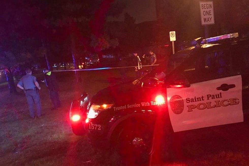 2019 MN State Fair Ends in Chaos with Shooting and Crash