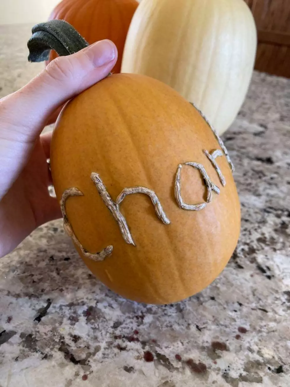 MN Mom’s Amazingly Cool Pumpkin Design Hack