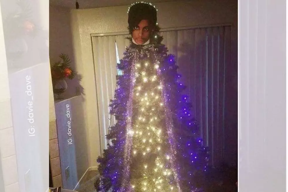 Prince-themed Christmas Tree Has Us ROFL [PHOTO]