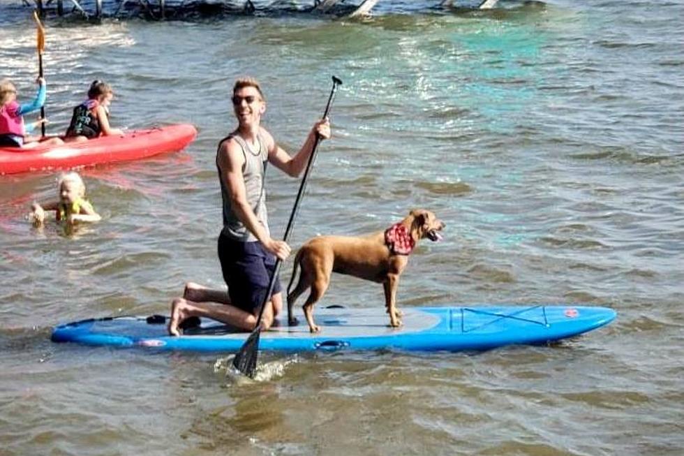 Does Your Dog Paddle Board? Cause Mine Now Does! [PHOTOS]