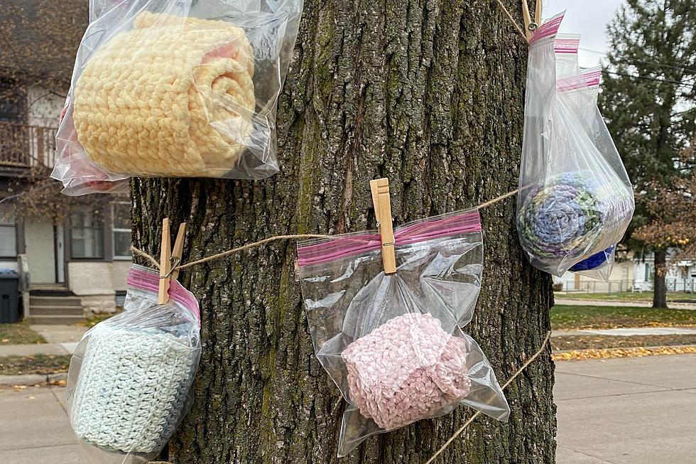 First Winter Wear "Gift Tree" of Season Spotted in Minneapolis