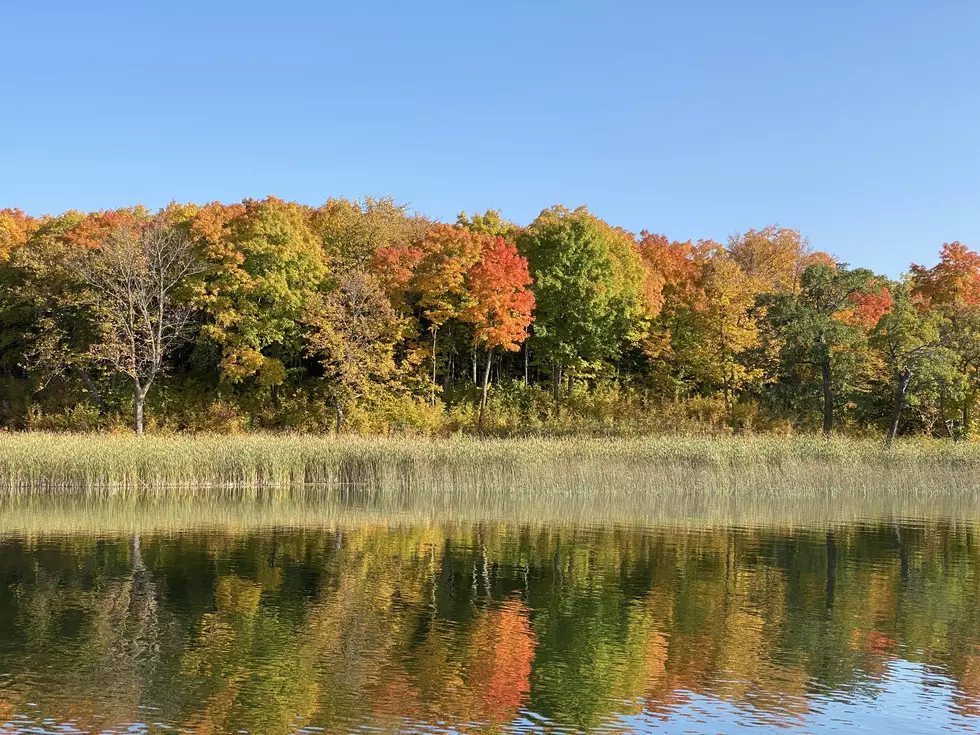 Minnesota Spot is One of The Best Places To See Fall Colors In The World!
