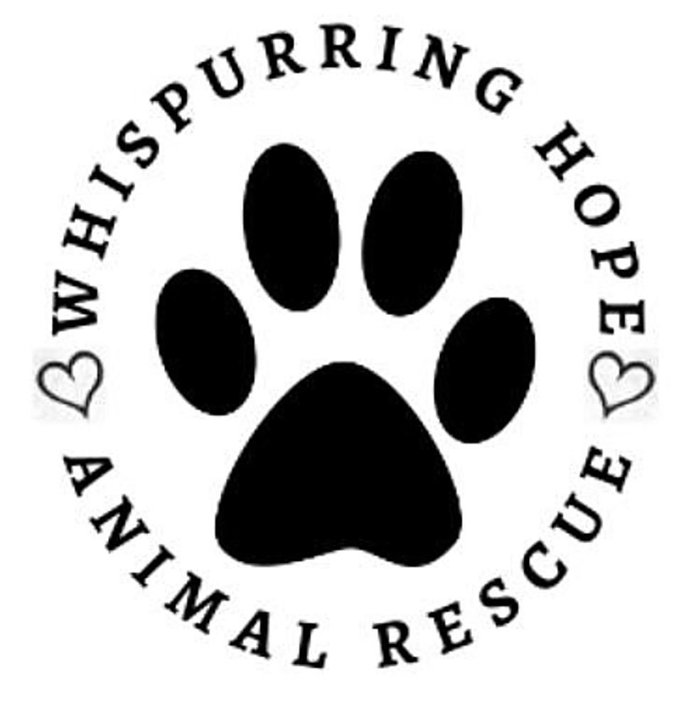 Eat Pizza and Help a Local Animal Shelter