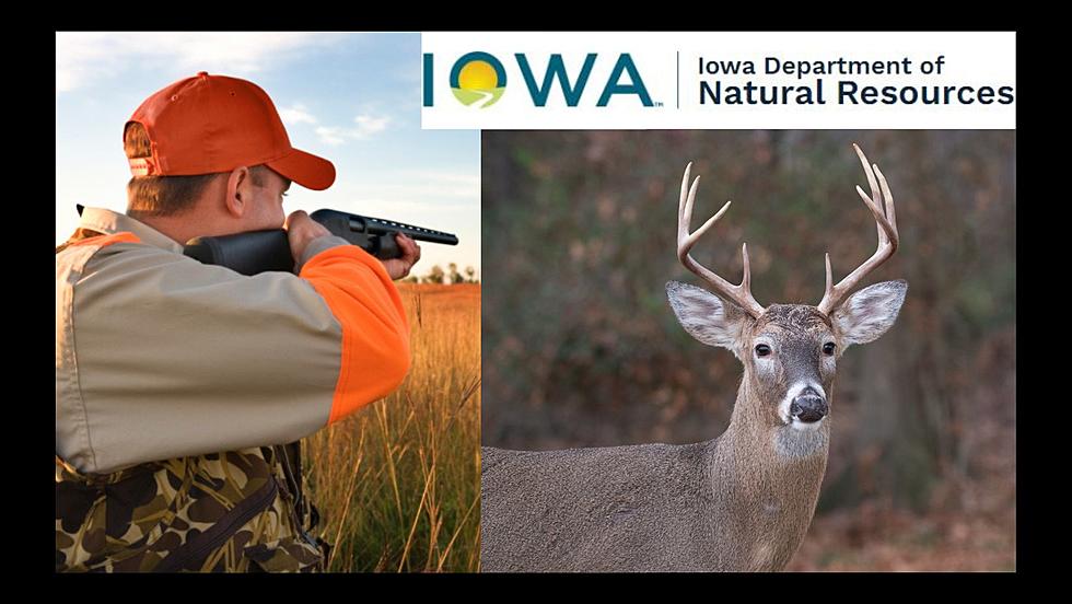 How Old’s Your Deer? The Iowa DNR Wants to Know
