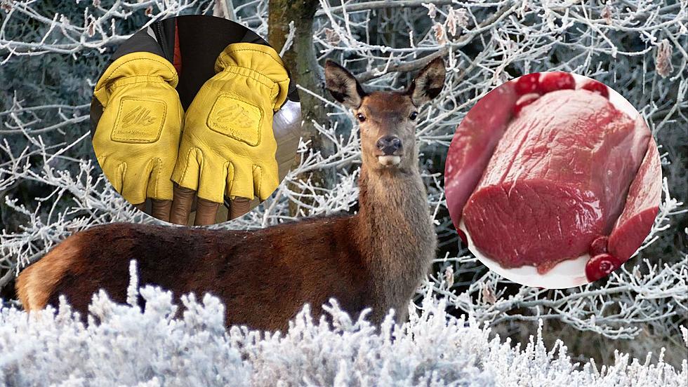 Iowa Programs Using Donated Deer to Quash Food Insecurity and Make Gloves for Veterans