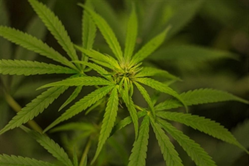 Punishment For Marijuana May Be Getting Reduced