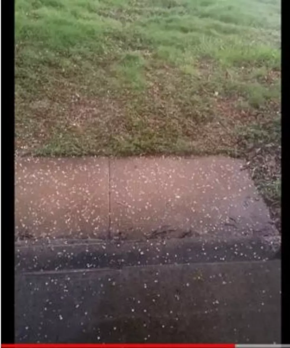 (Watch) Pea-sized hail fell in Dubuque today (04/27/2020)