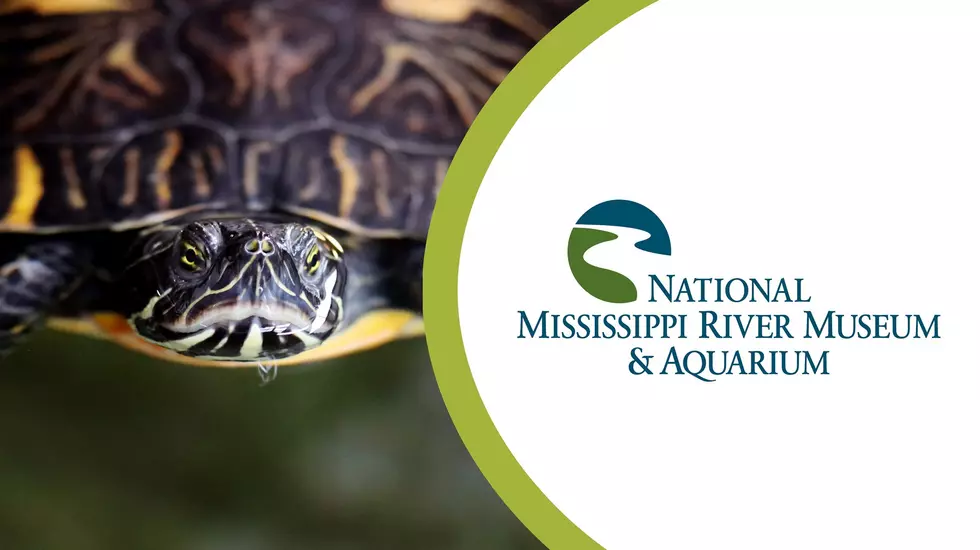National Mississippi River & Aquarium to Offer Free Virtual Programs this Fall