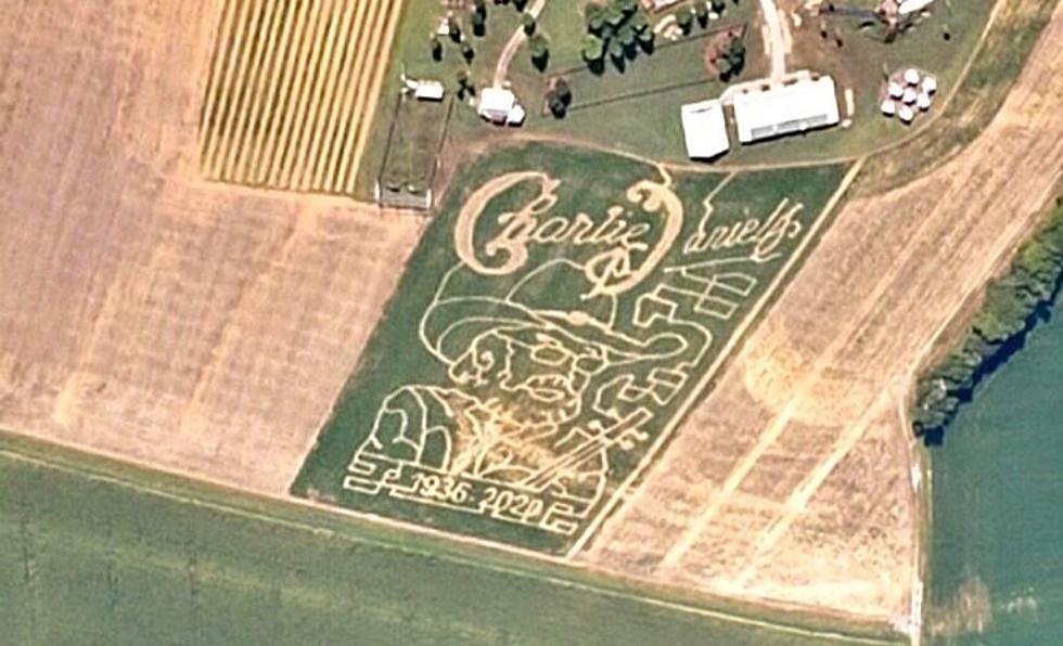 Amazing Corn Maze in Tribute to Charlie Daniels