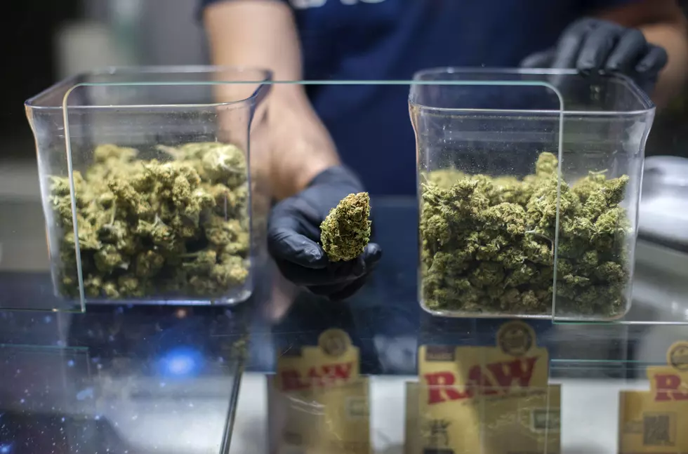 Almost Half Of United States Now Have Recreational Marijuana