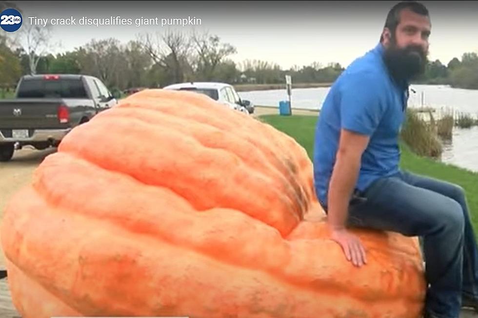 Wisconsin Farmer: “There’s No Crying in Pumpkin Growing”