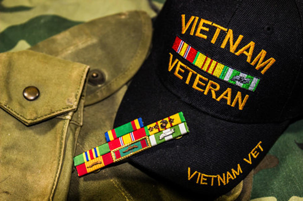 Iowa’s National Vietnam Veterans Day Ceremony is March 29th in Des Moines