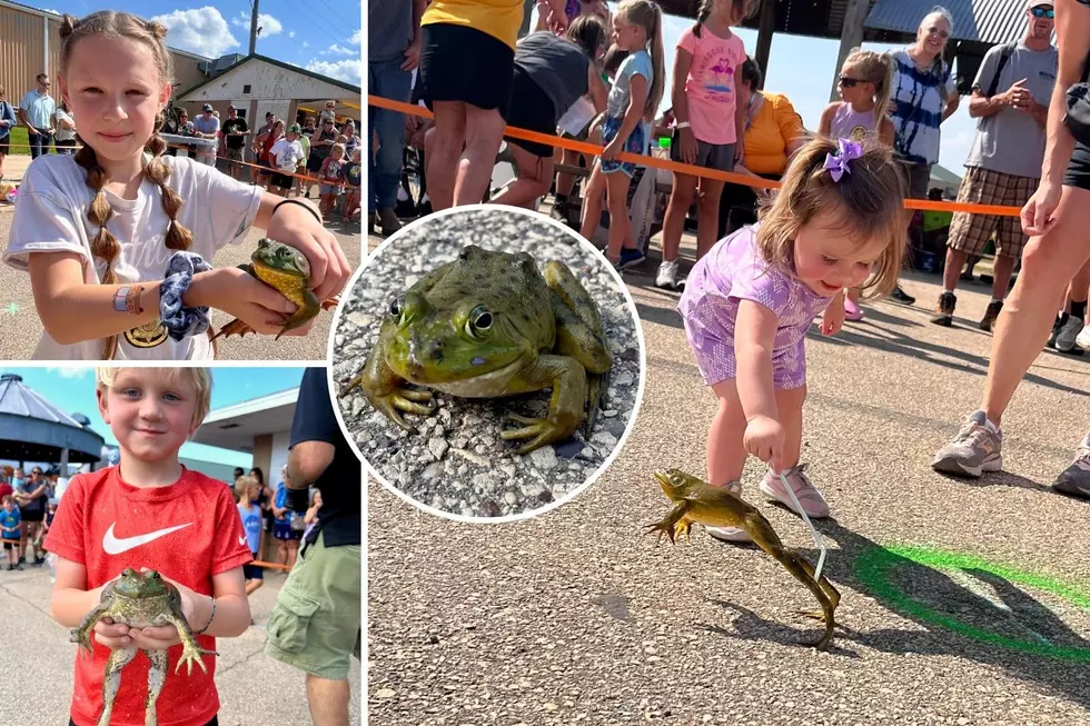 88 Kids Compete for Dubuque County Fair Frog Jumping Title