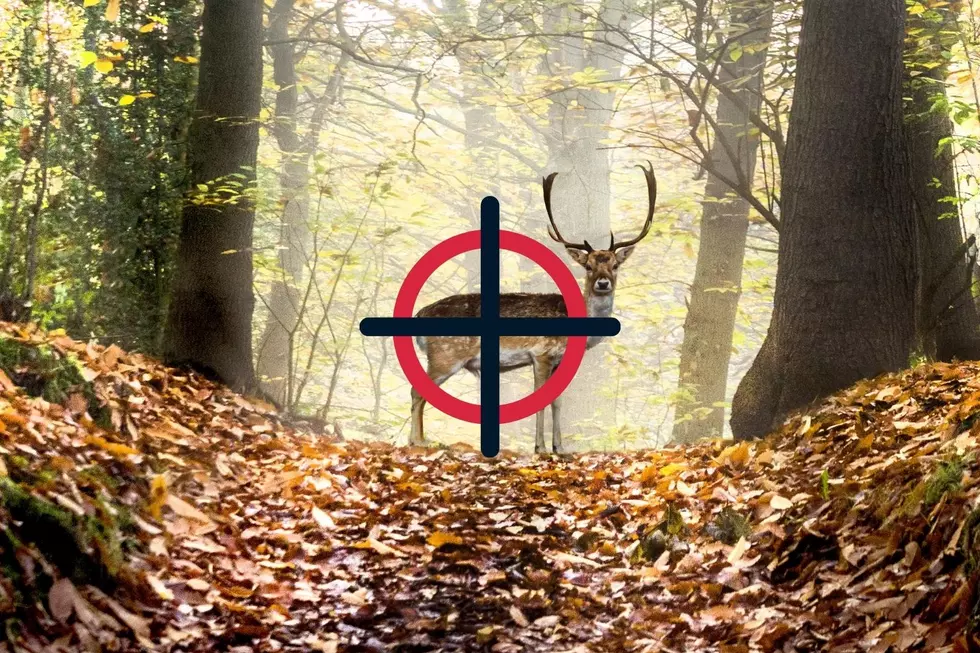 Wisconsin Crossbow Deer Season Starts Saturday, September 17
