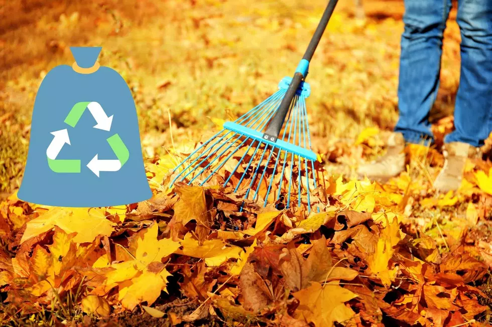 City of DBQ Guidelines on How to Handle Your Yard Waste This Fall