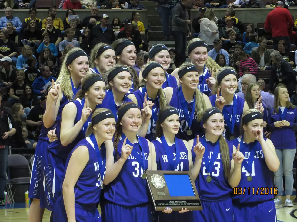 Goodhue Girls Dominate for Section 1A Championship