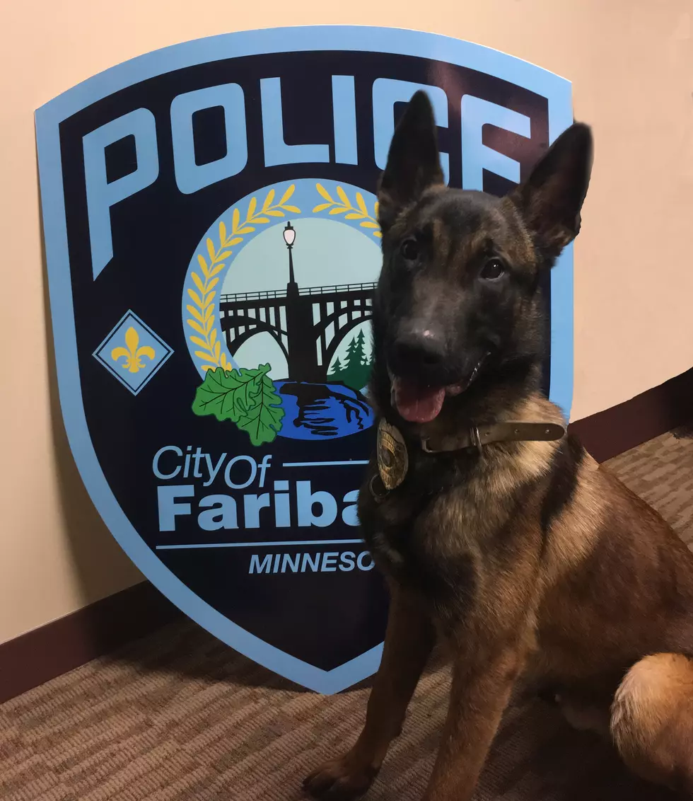 Faribault K9 Officer Cannon Received His Body Armor
