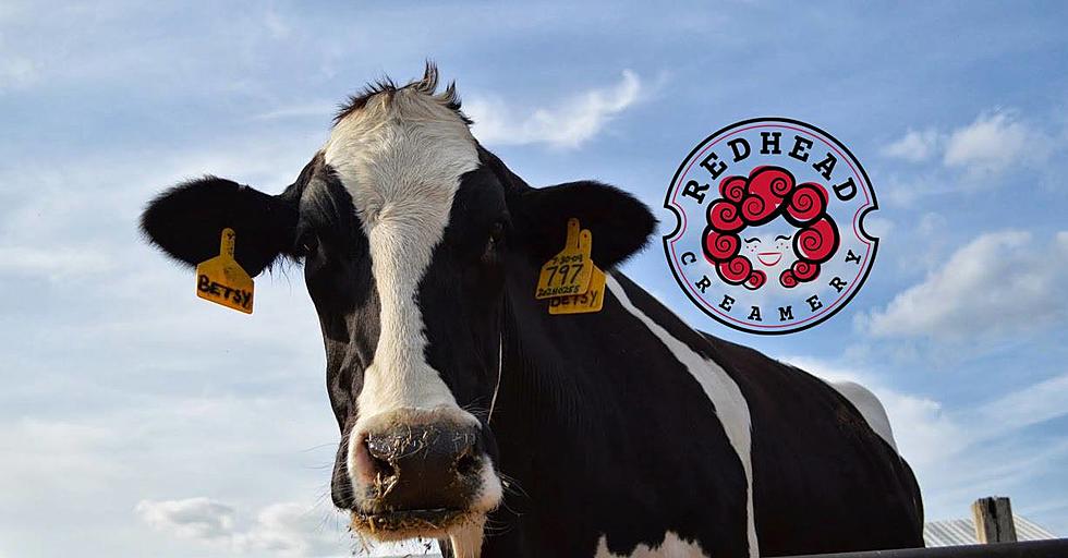 Redhead Creamery Would Make a Great Day Trip