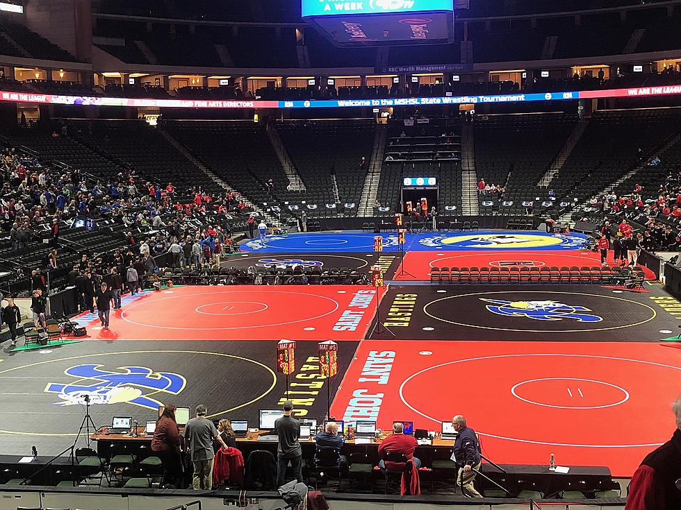 All Faribault Wrestlers Participating Place at State