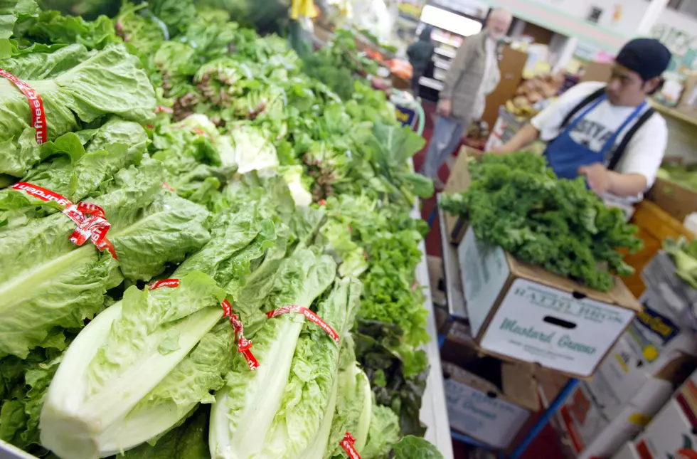 Throw Away Your Romaine Lettuce Now &#8211;  It May Have E. Coli!
