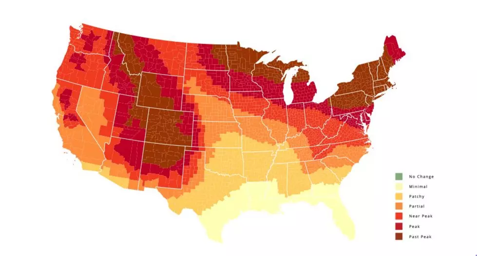 This Map Will Tell You When Faribault&#8217;s Fall Colors Will be the Best!