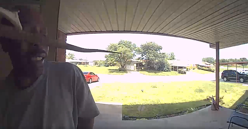 WATCH: Man Opening A Door Gets Bit In The Face By A 5 Foot Snake!