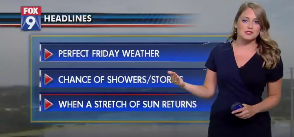 WATCH: Minnesota Meteorologist BUGS Out On Camera