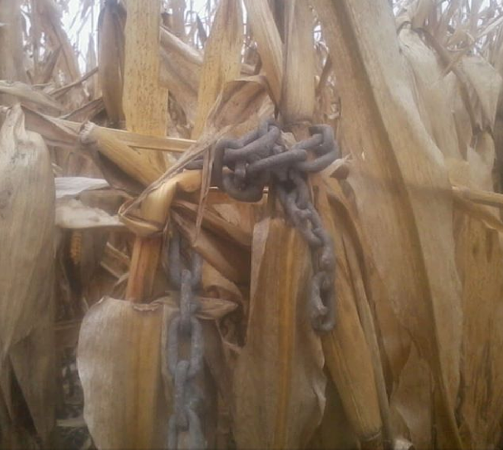 A Minnesota Farmer Finds ‘Booby Traps’ In Field While Harvesting