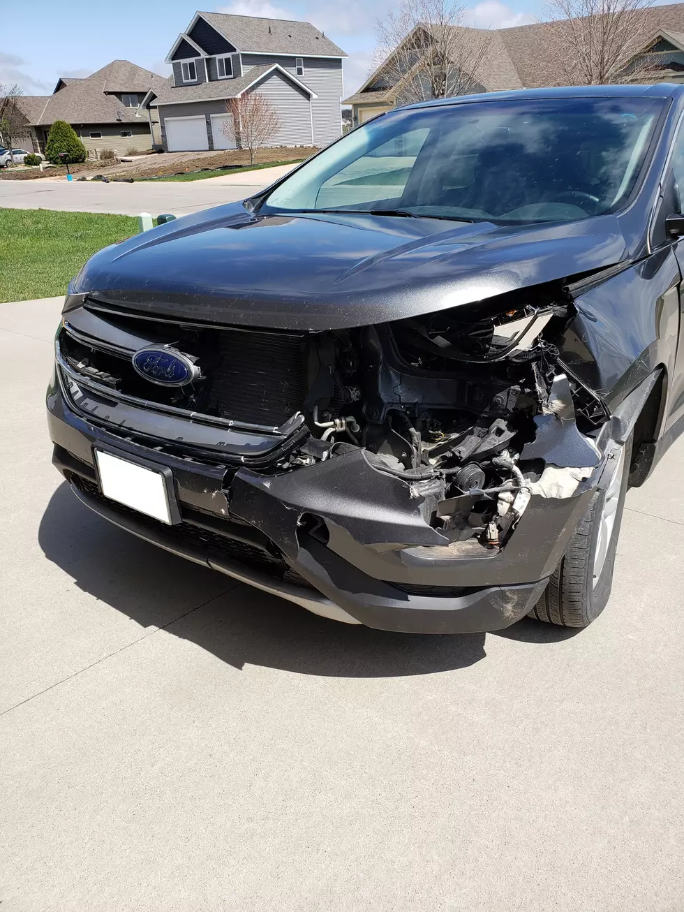 The Buck Stopped Here…How Much A Car Deer Collision Can Cost