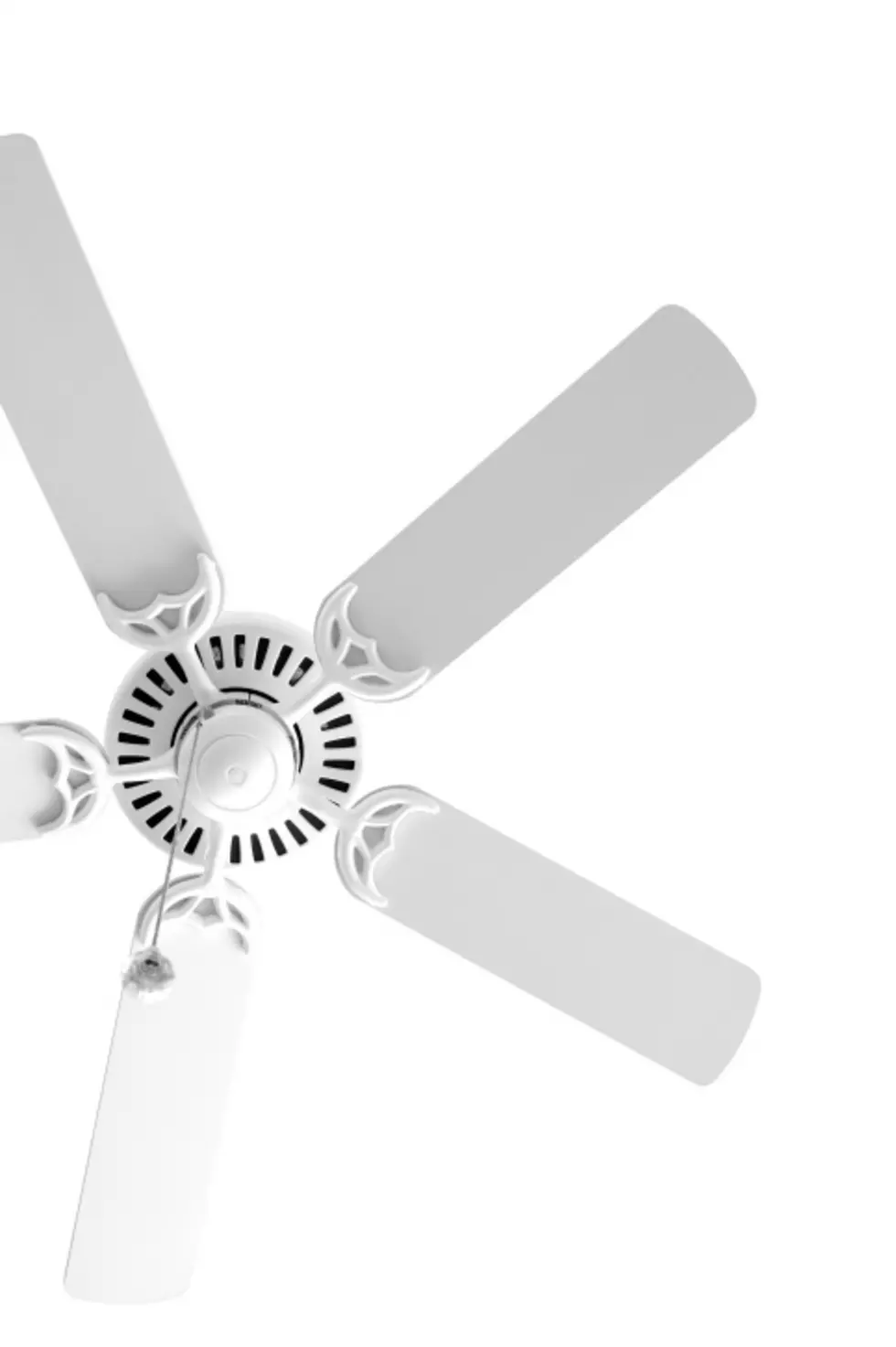 Did You Know Your Ceiling Fan Has Winter and Summer Settings?