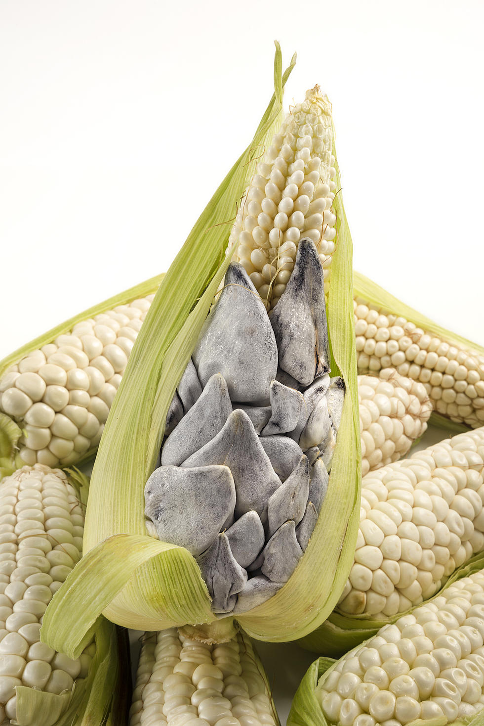 Scary Looking Ear Of Corn Is Actually A Delicacy For Some MN