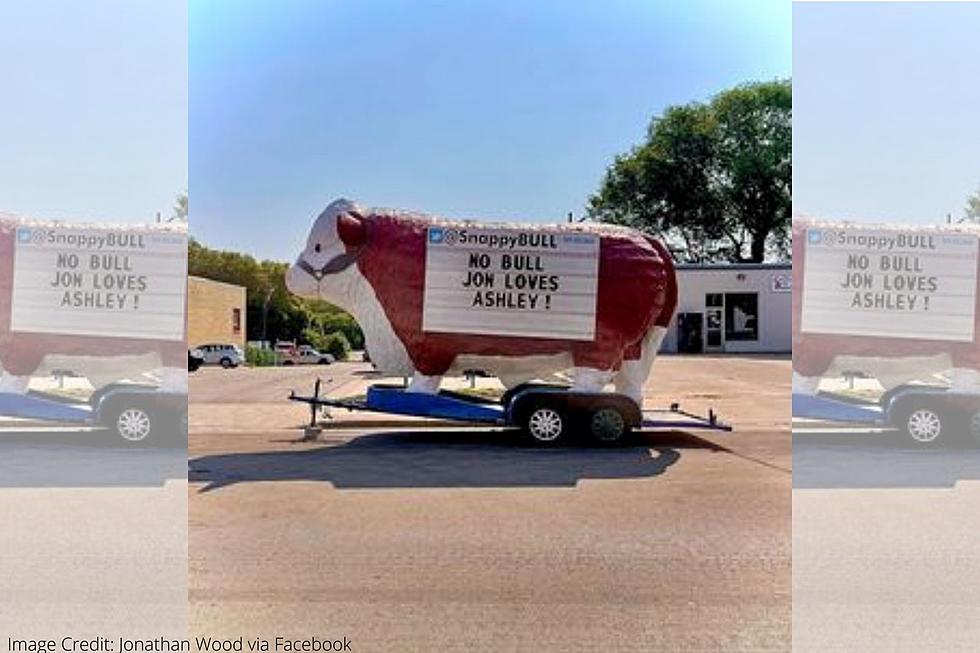 What’s The Deal With That Giant Bull On Central Ave In Downtown Faribault?