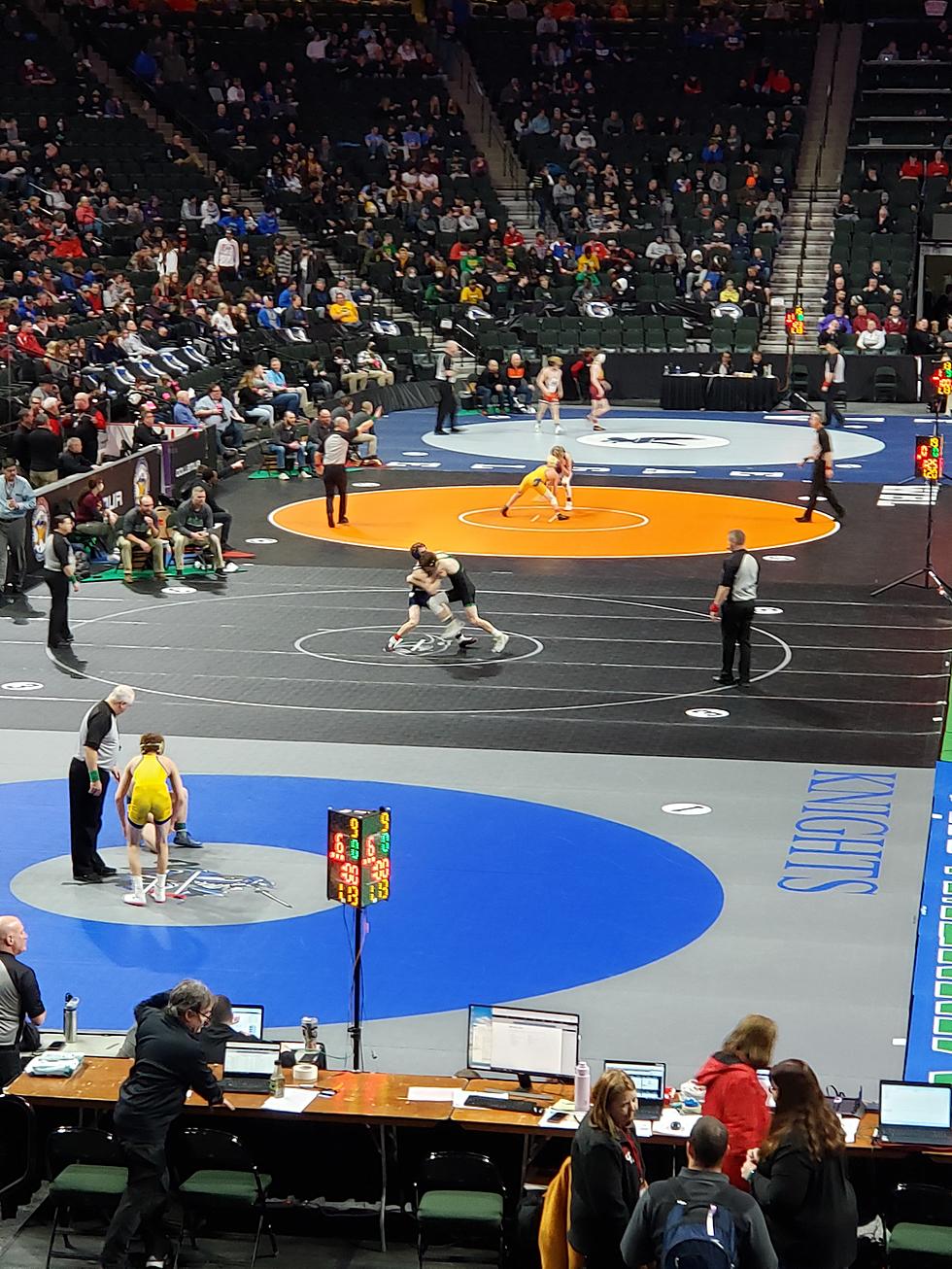 How Did Southern Minnesota Wrestlers Do At 2022 The State Tournament?