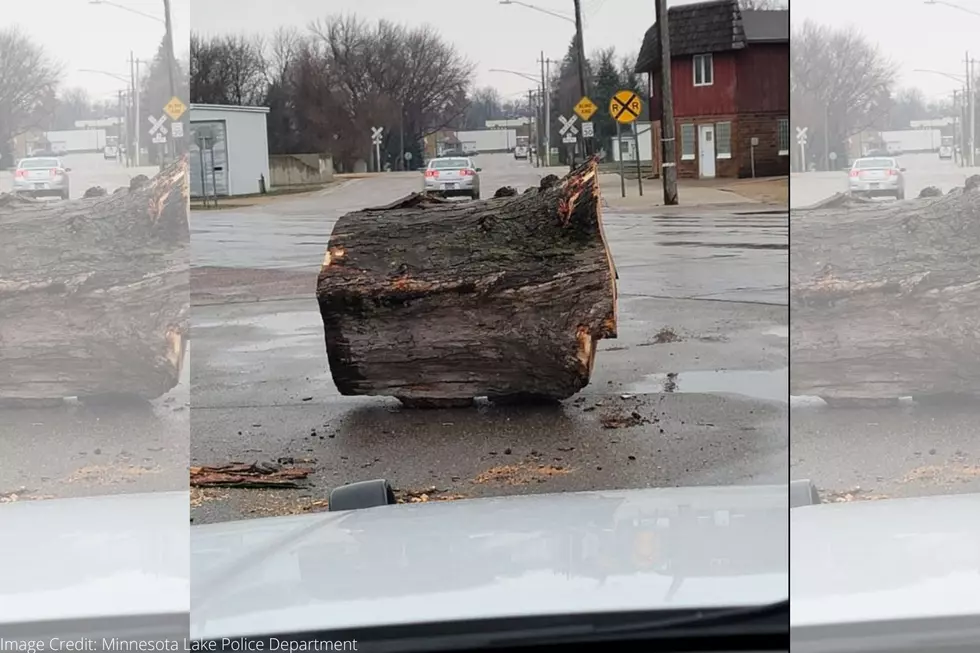 Southern Minnesota Police Department Reunites Lost ‘Log’ With Its Owner