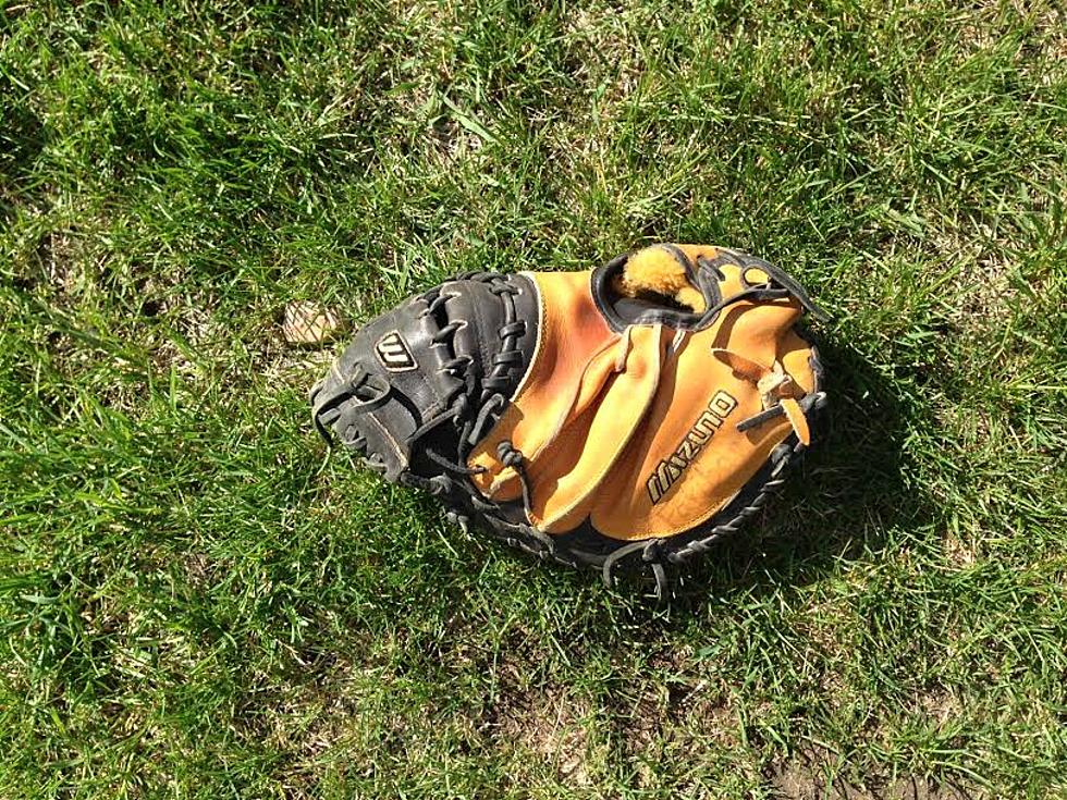 State-Ranked Northfield Baseball Sweeps Faribault