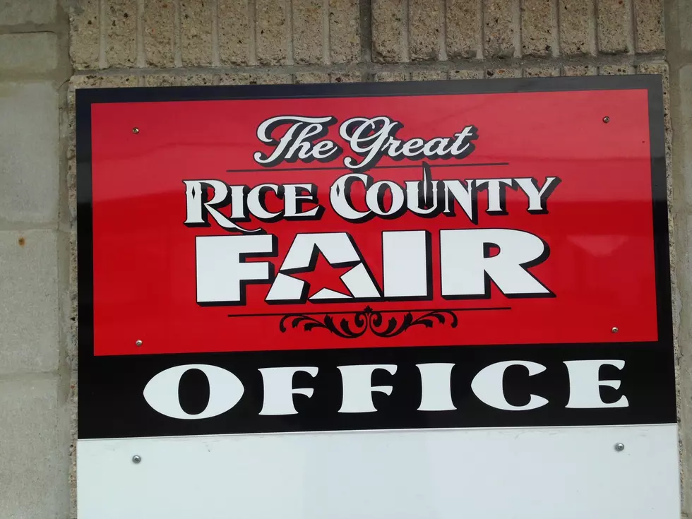 Rice County Fair Talk on AM Minnesota 6-22-2015