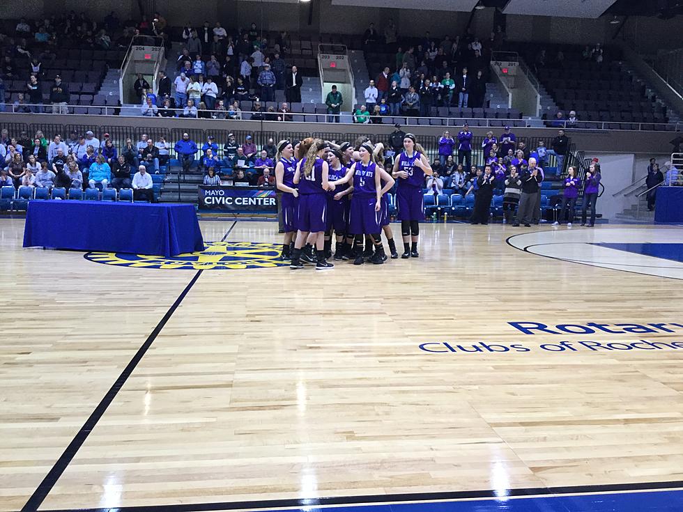 Goodhue to section finals