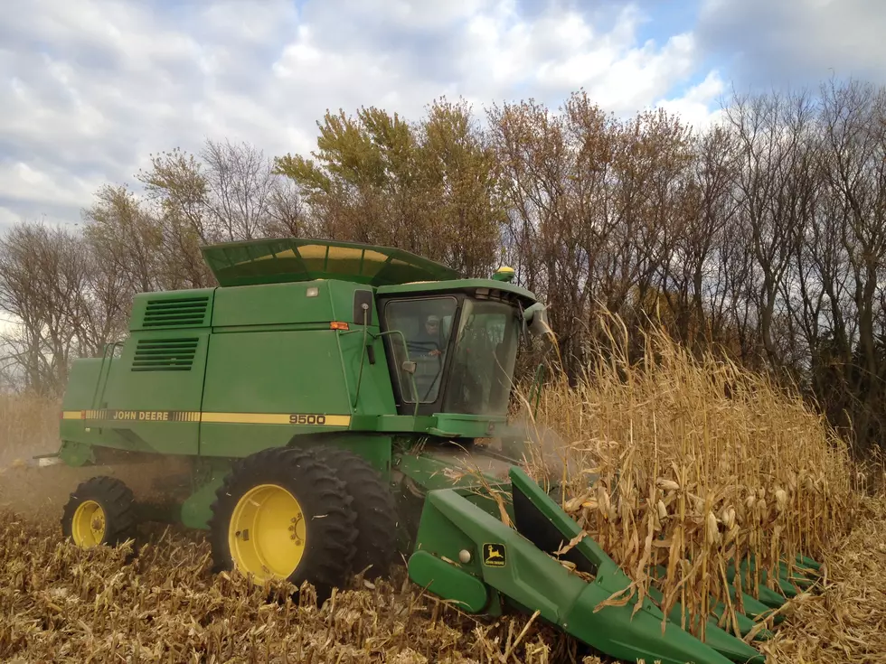 Market Report: Corn and Beans Lower Monday