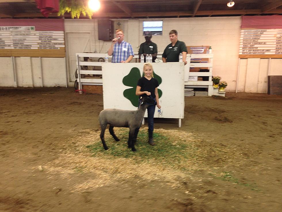 4-H wins with Livestock Auction