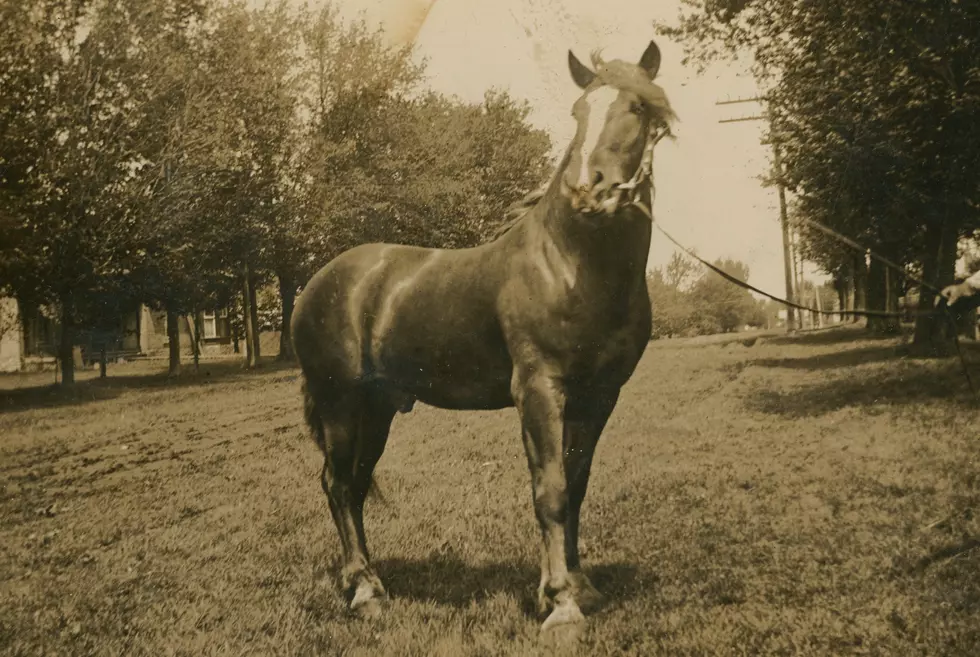 Look Back: Anti-Horse Thief Assn.