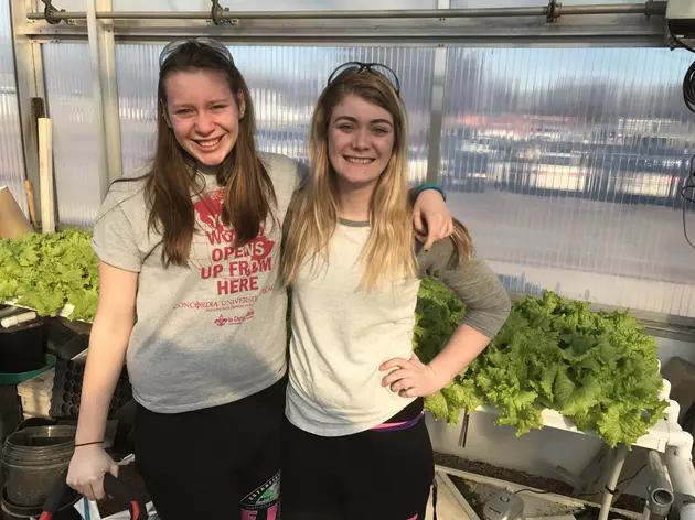 Randolph FFA Grows Hydroponic Lettuce