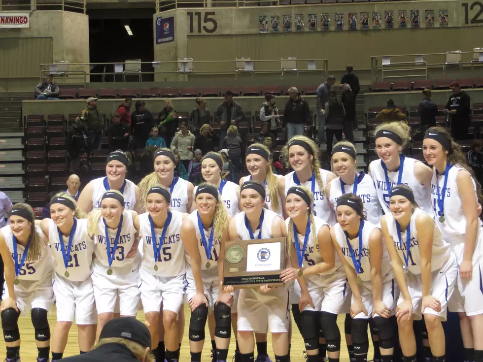 Goodhue Girls Are Back At State