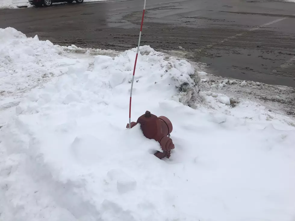 Faribault Fire Department Asks Citizens to Dig Out Hydrants
