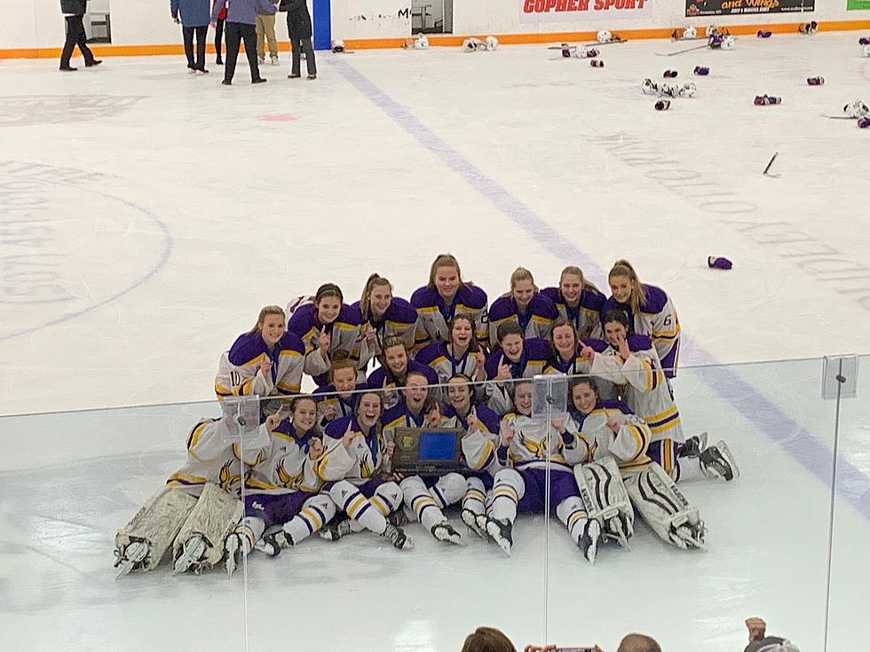 Rochester Lourdes Girls Hockey Defeats Faribault Win Section