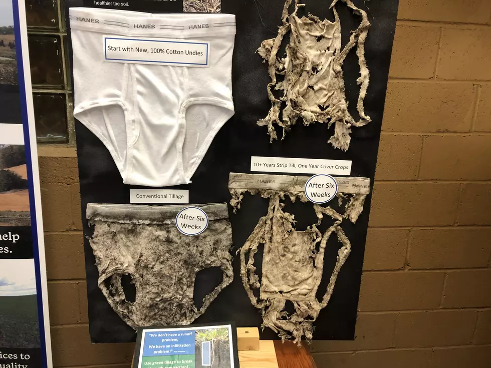 See the Men’s Underwear at the Rice County Fair