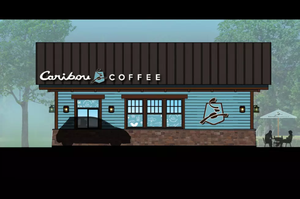 Caribou Cabins Are Coming, Here’s What the Buzz is About