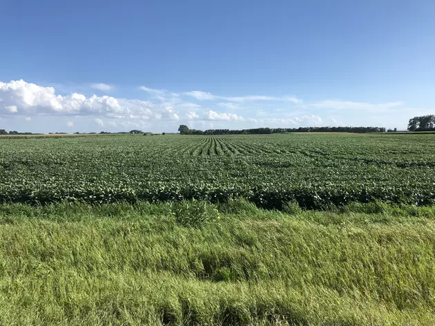 Pro Farmer Midwest Crop Tour