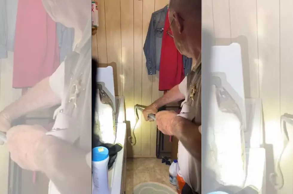 [WATCH] South Dakota Sheriff’s Office Called to Remove Rattlesnake From Washing Machine