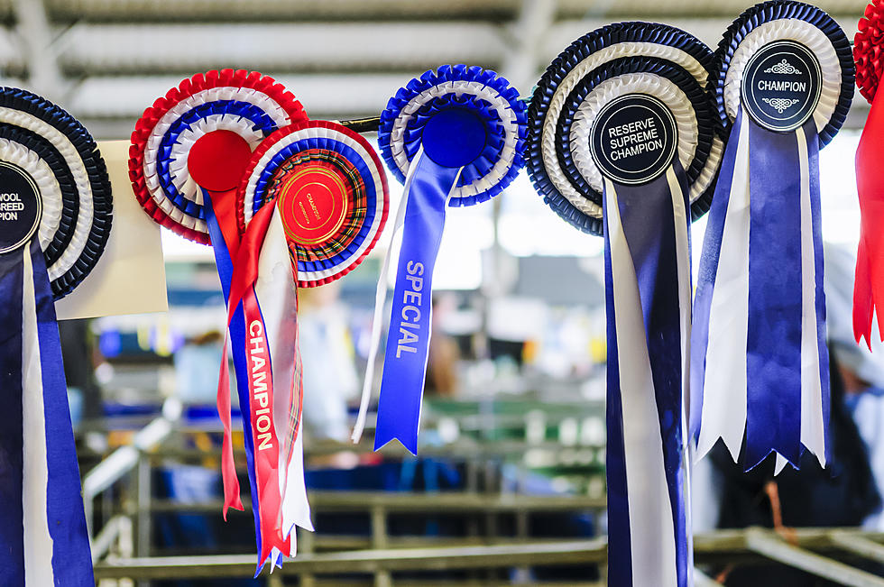 Submit Your Minnesota County Fair Project For Virtual Judging
